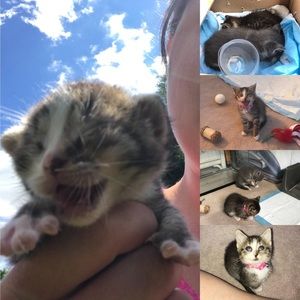 Meet your Posher, Kacie